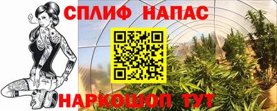 гашик Краснокаменск