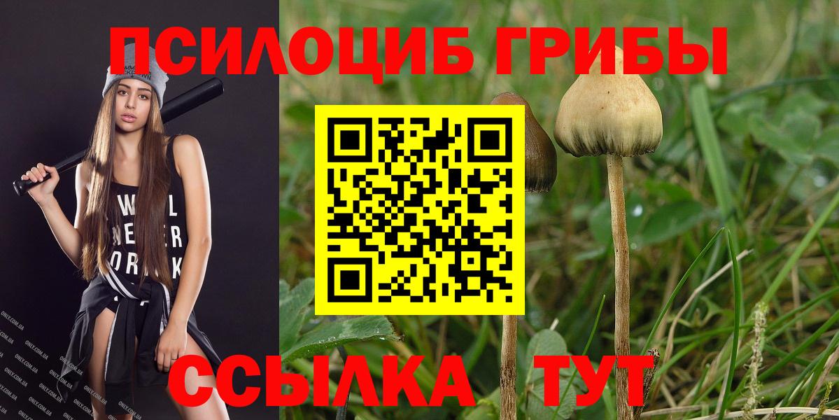 Кемерово  Псилоцибиновые грибы ЛСД  Псилоцибиновые грибы Psilocybine cubensis  Вход с VPN 